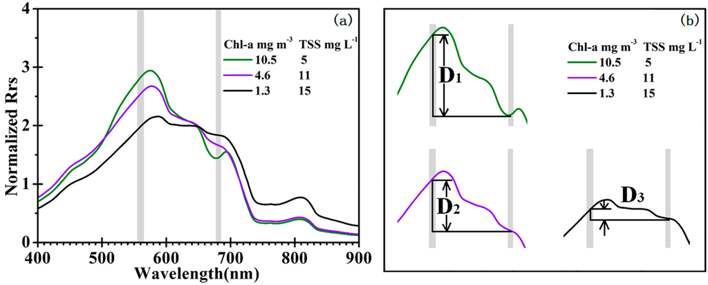 Remotesensing 07 00275 g003 1024