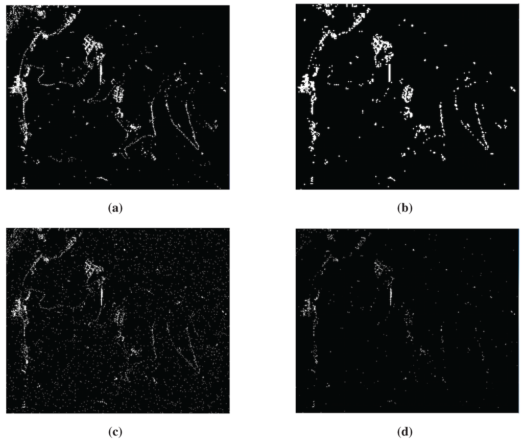Remotesensing 07 00530 g011 1024