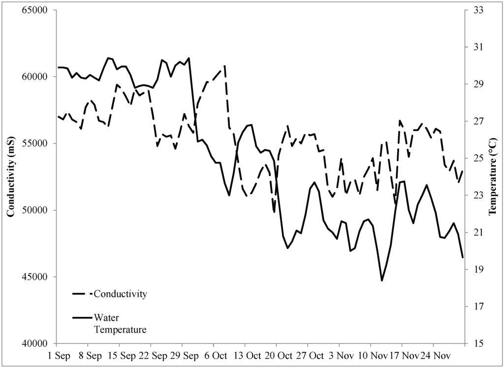 Remotesensing 07 01441 g009 1024