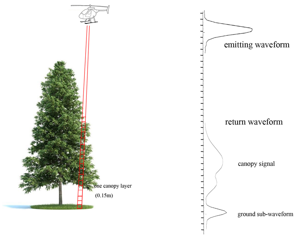 Remotesensing 07 01897 g001 1024