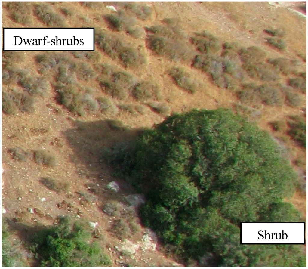 Remotesensing 07 02283 g005 1024