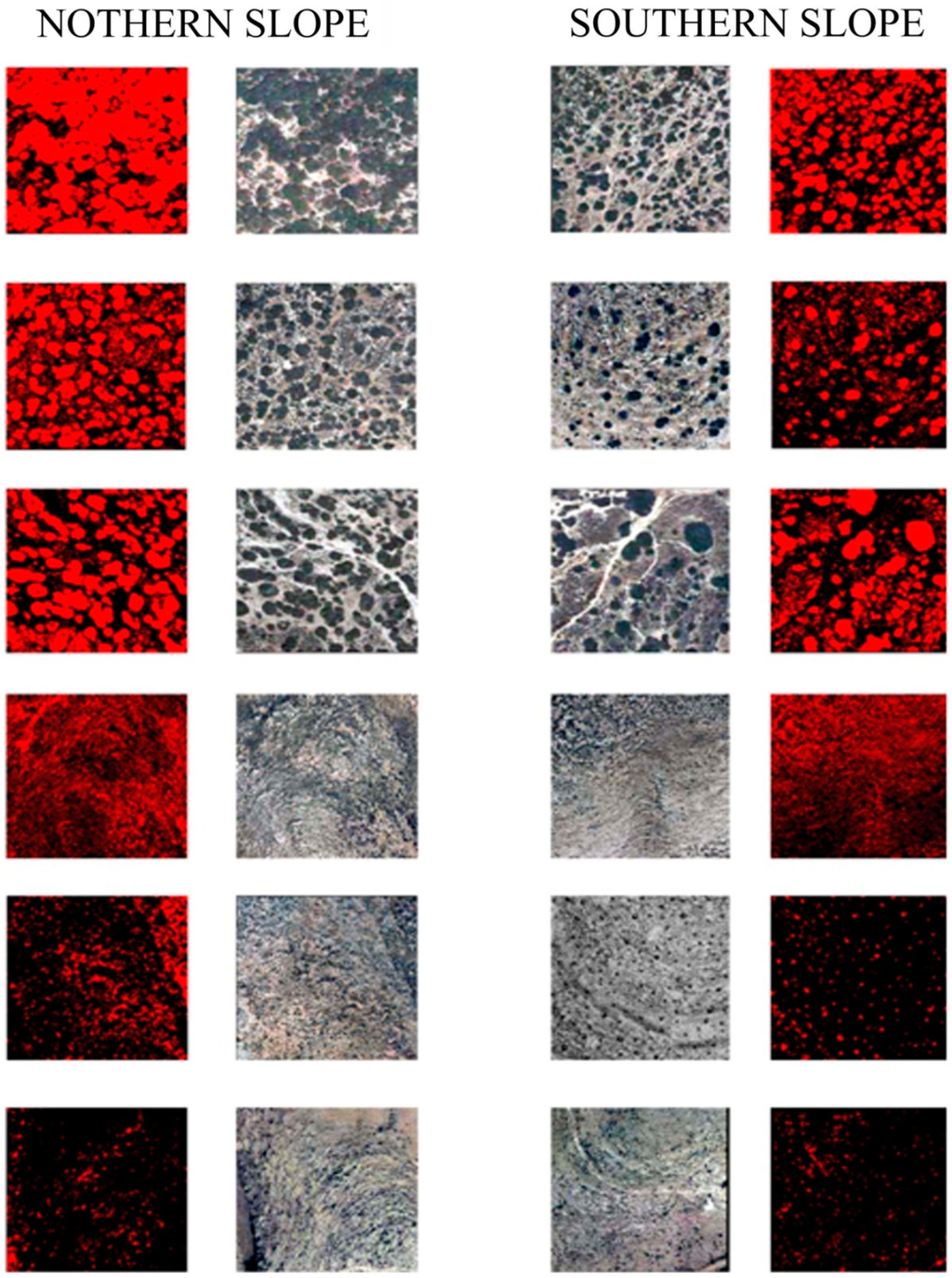 Remotesensing 07 02283 g008 1024