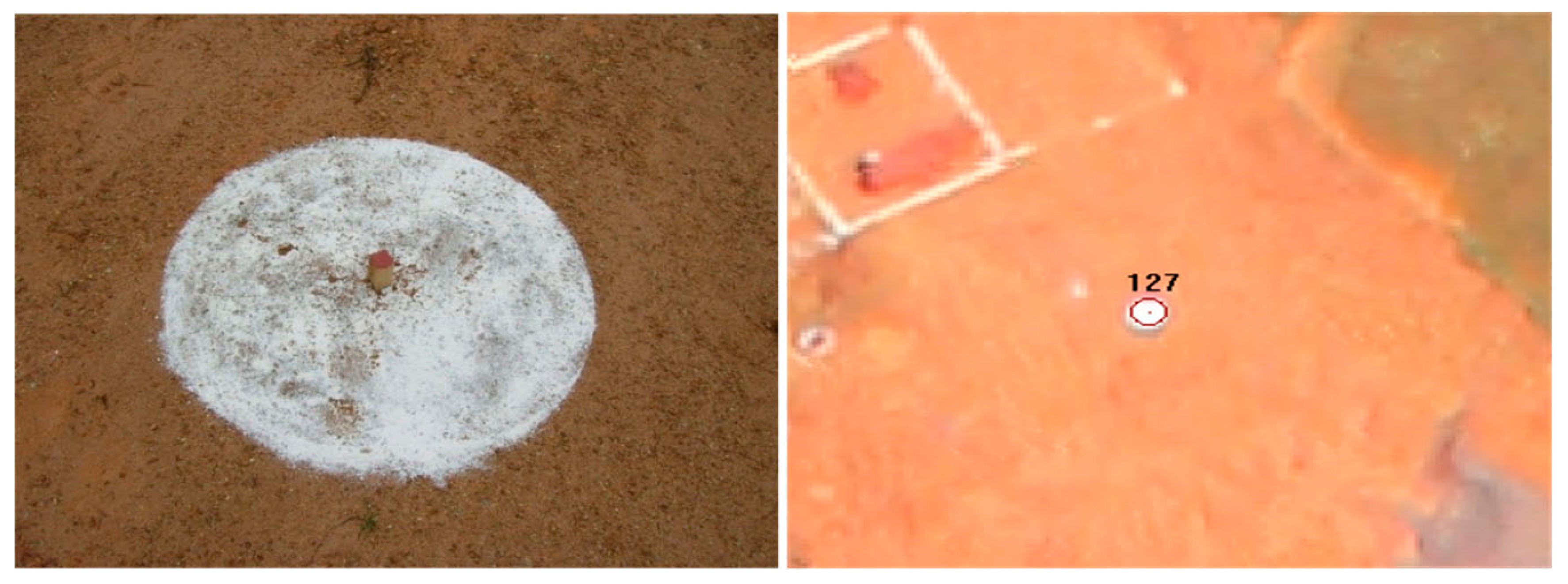 Remotesensing 07 02302 g004