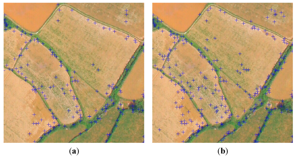 Remotesensing 07 02302 g012 1024