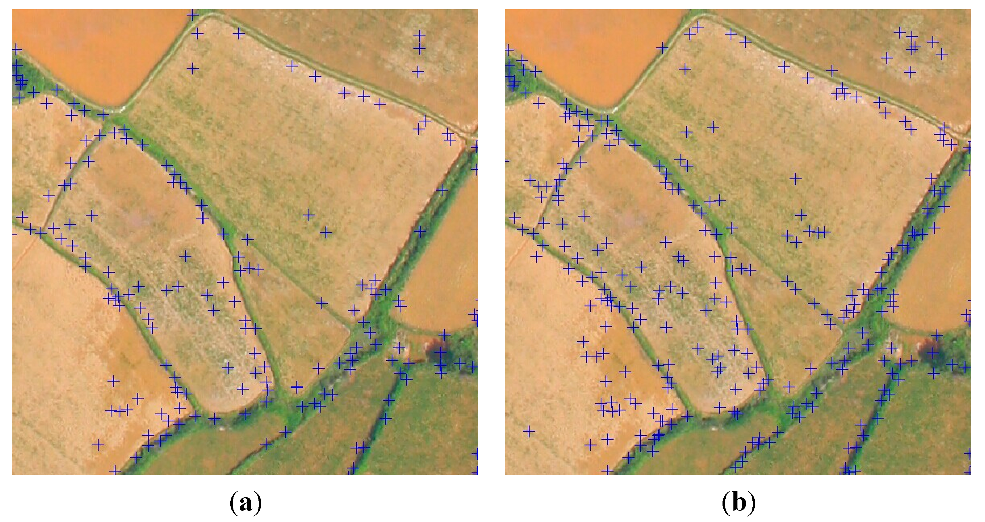 Remotesensing 07 02302 g012