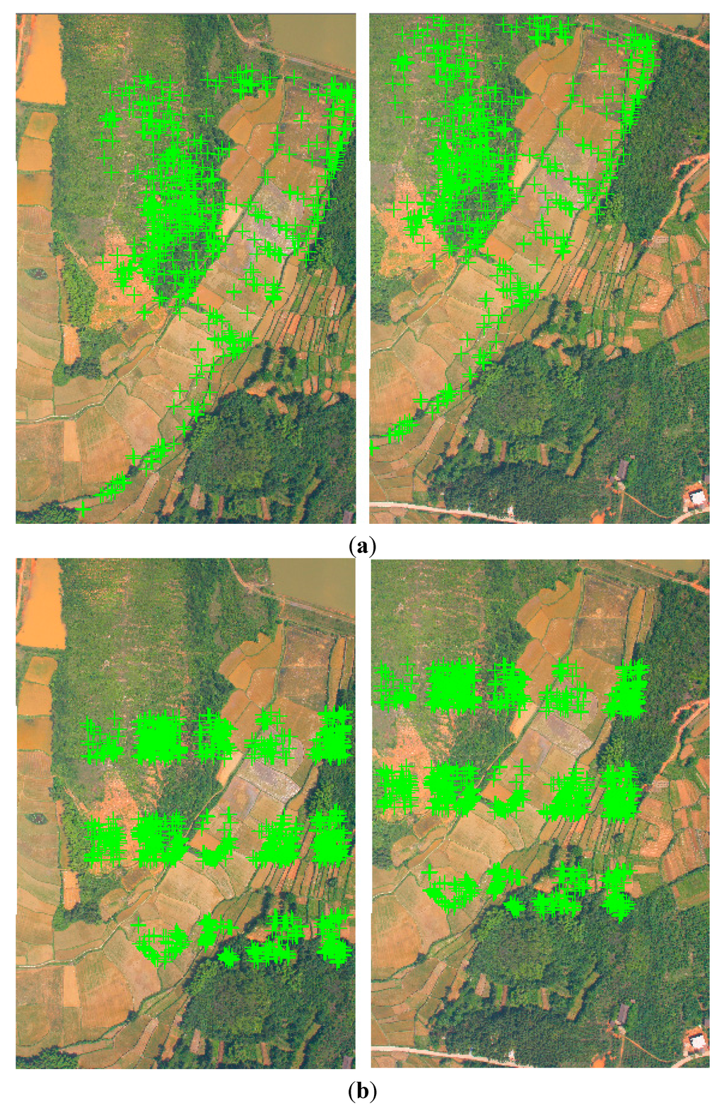Remotesensing 07 02302 g013a 1024