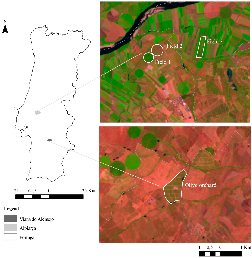 Remotesensing 07 02373 g001 1024