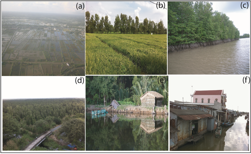 Remotesensing 07 02899 g004 1024