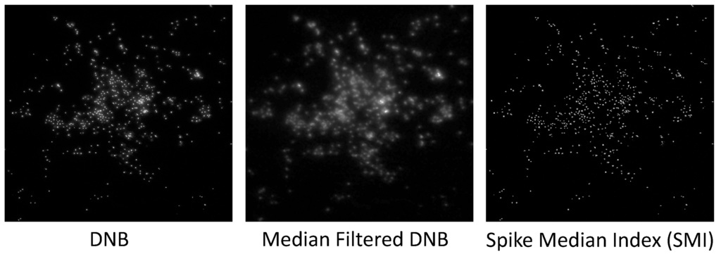 Remotesensing 07 03020 g004 1024