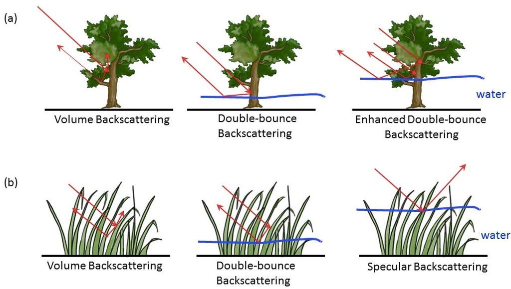 Remotesensing 07 03153 g012 1024