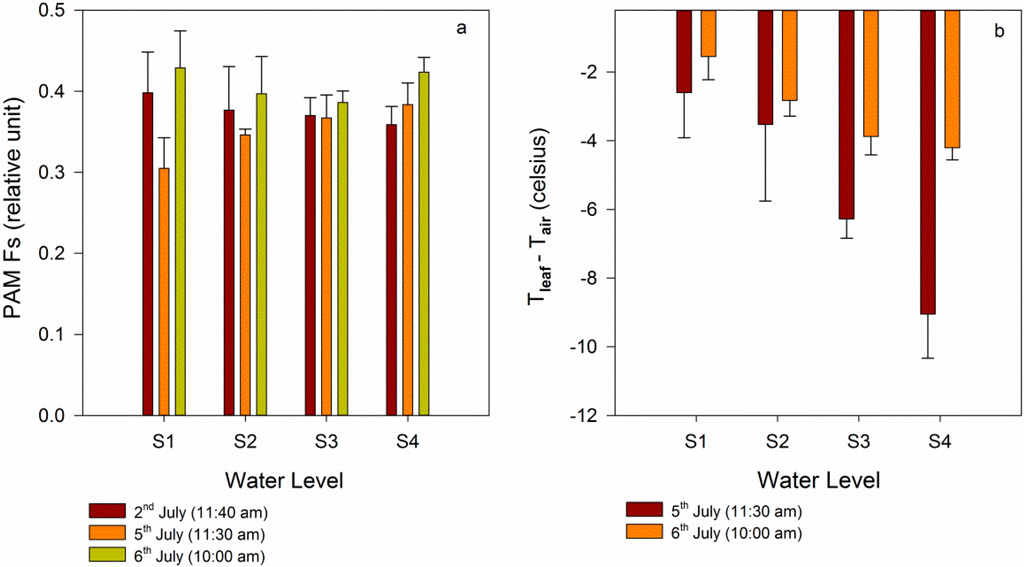 Remotesensing 07 03232 g005 1024