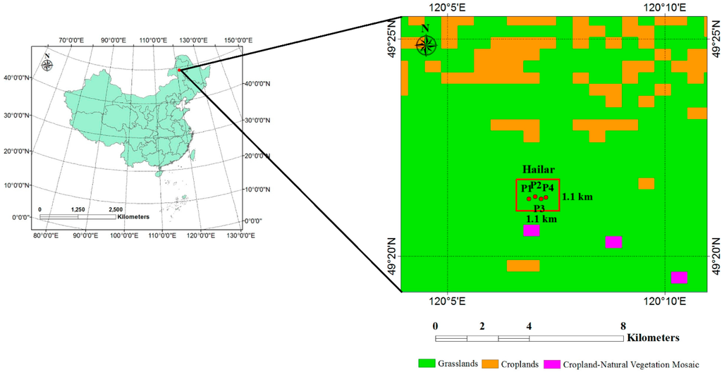 Remotesensing 07 03250 g001 1024