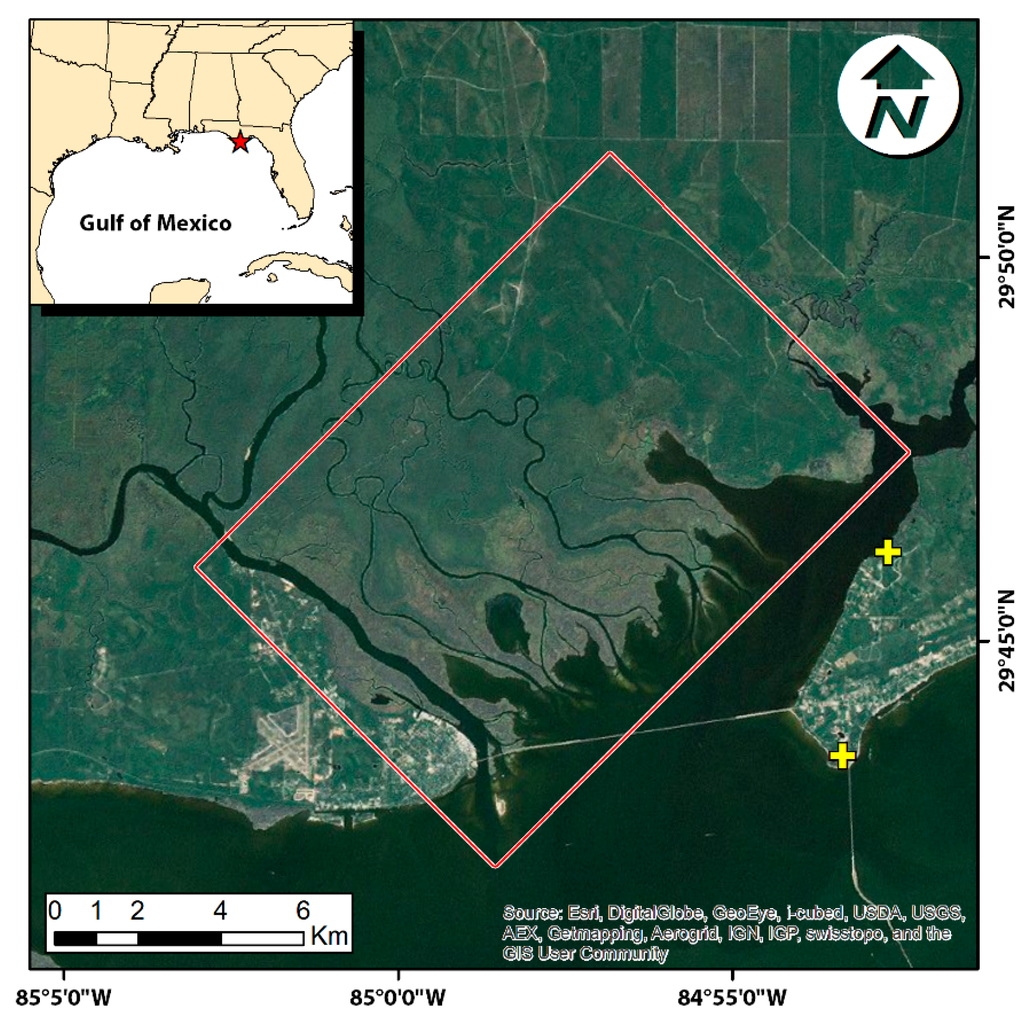 Remotesensing 07 03507 g001 1024