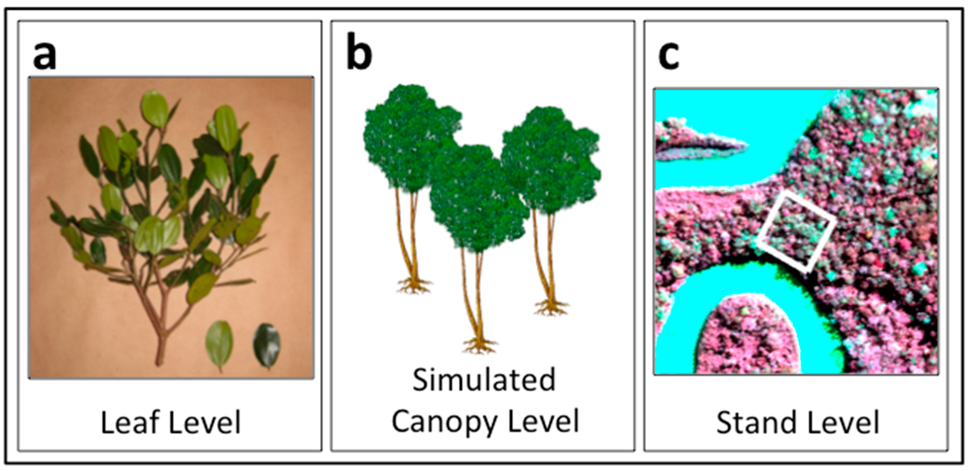 Remotesensing 07 03526 g001