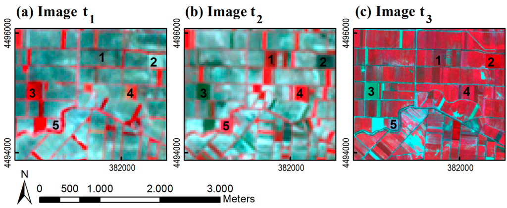 Remotesensing 07 03633 g005 1024