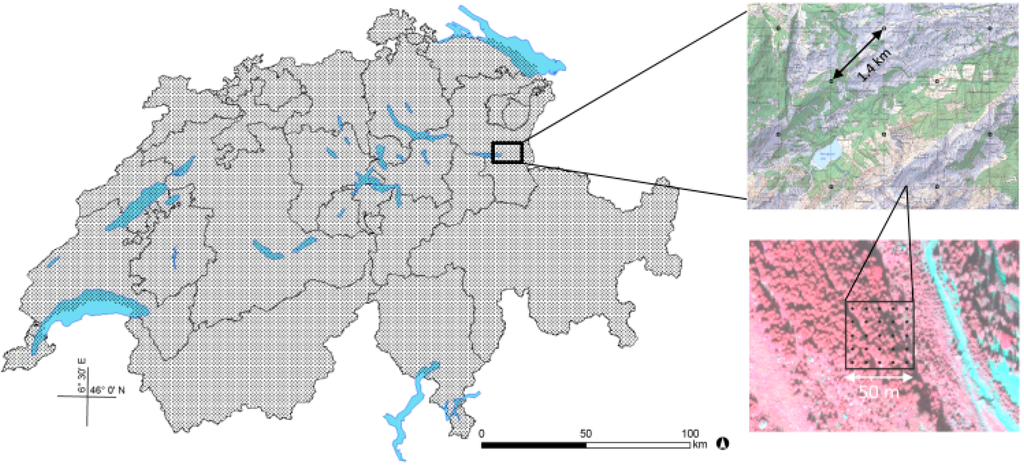 Remotesensing 07 04343 g012 1024