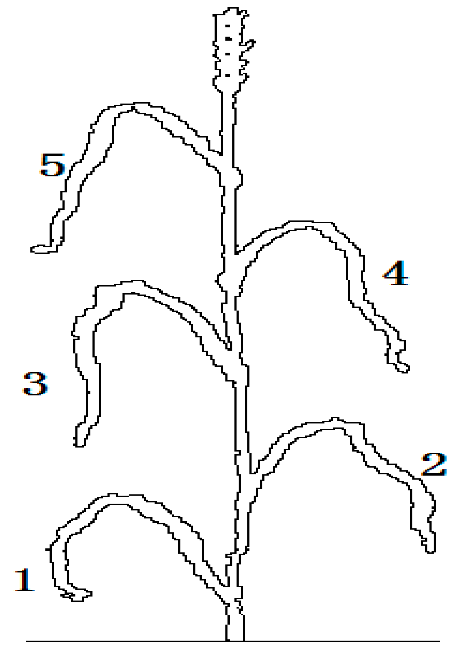 Remotesensing 07 04626 g001 1024