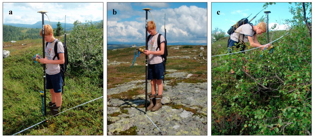 Remotesensing 07 04702 g002 1024