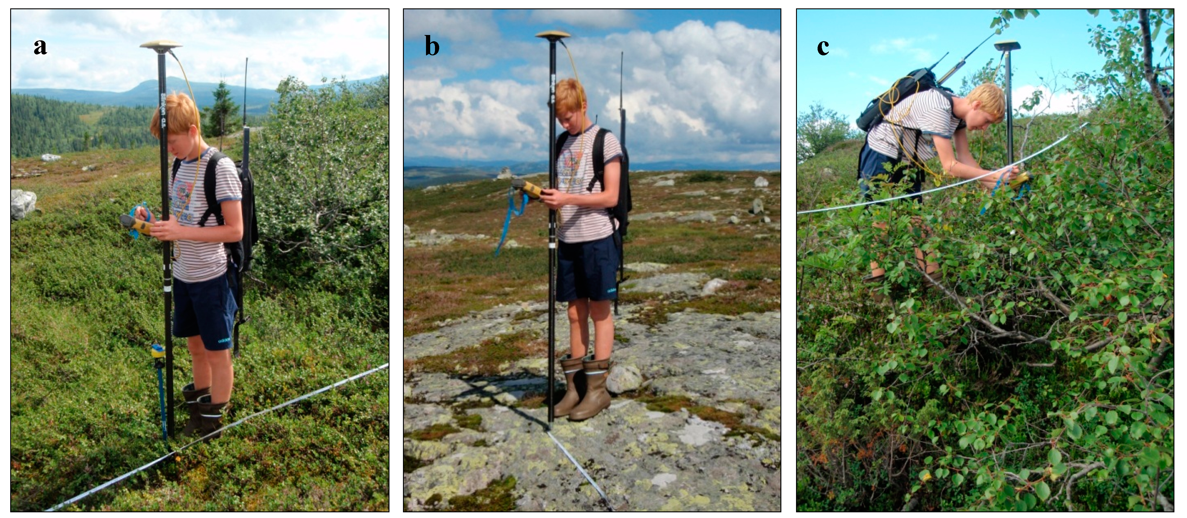 Remotesensing 07 04702 g002