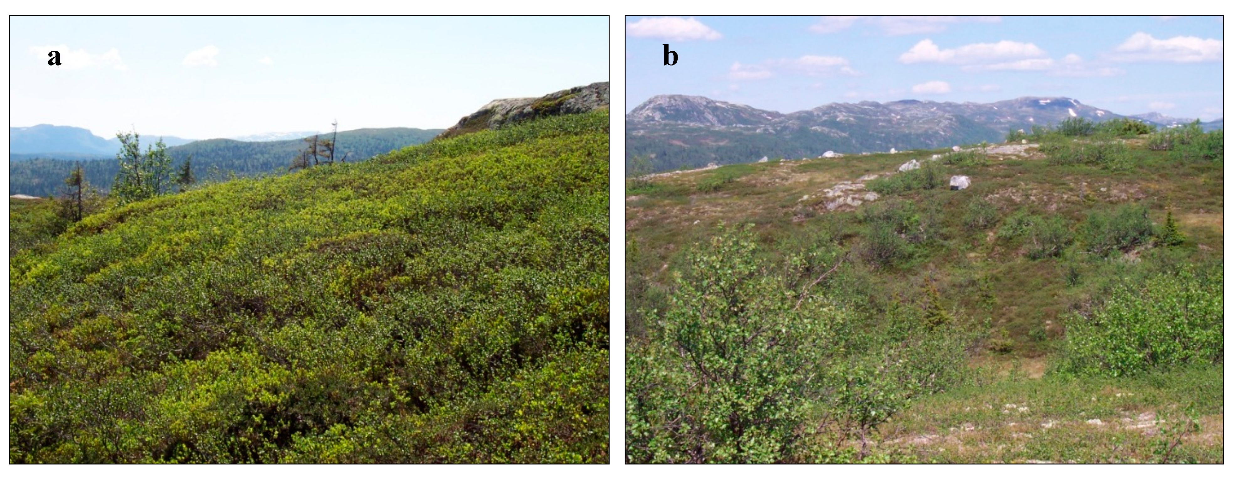 Remotesensing 07 04702 g003