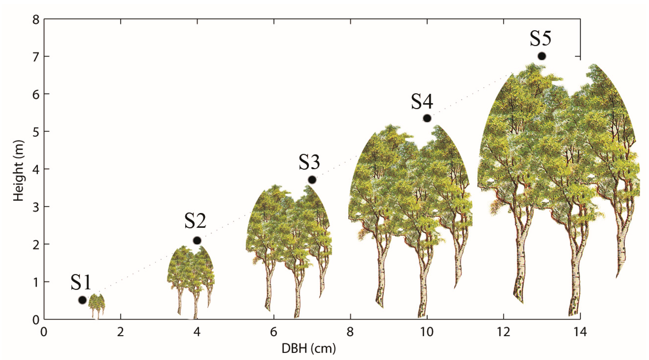 Remotesensing 07 04997 g001