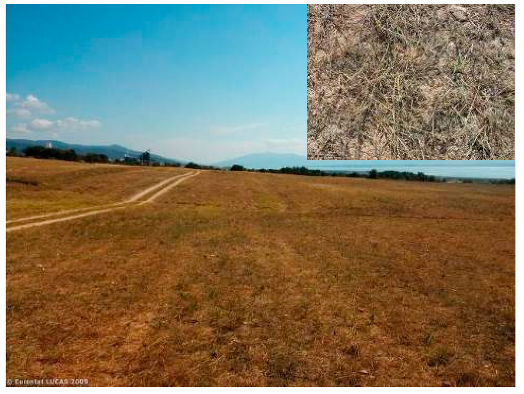 Remotesensing 07 05012 g007 1024