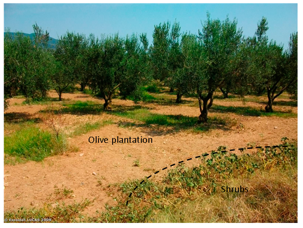 Remotesensing 07 05012 g009 1024