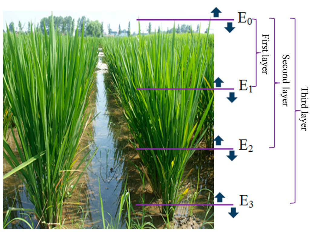 Remotesensing 07 05203 g001 1024