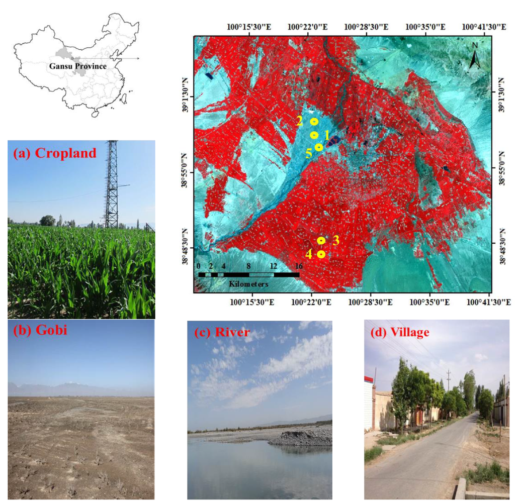 Remotesensing 07 06489 g001 1024