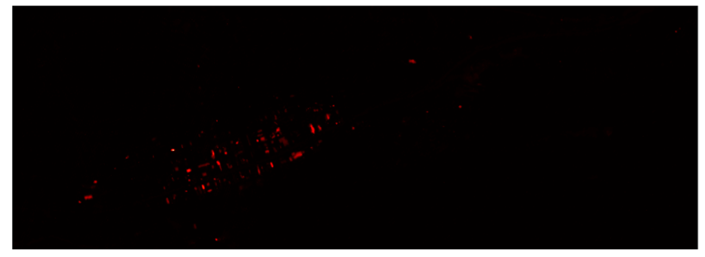 Remotesensing 07 06611 g014 1024