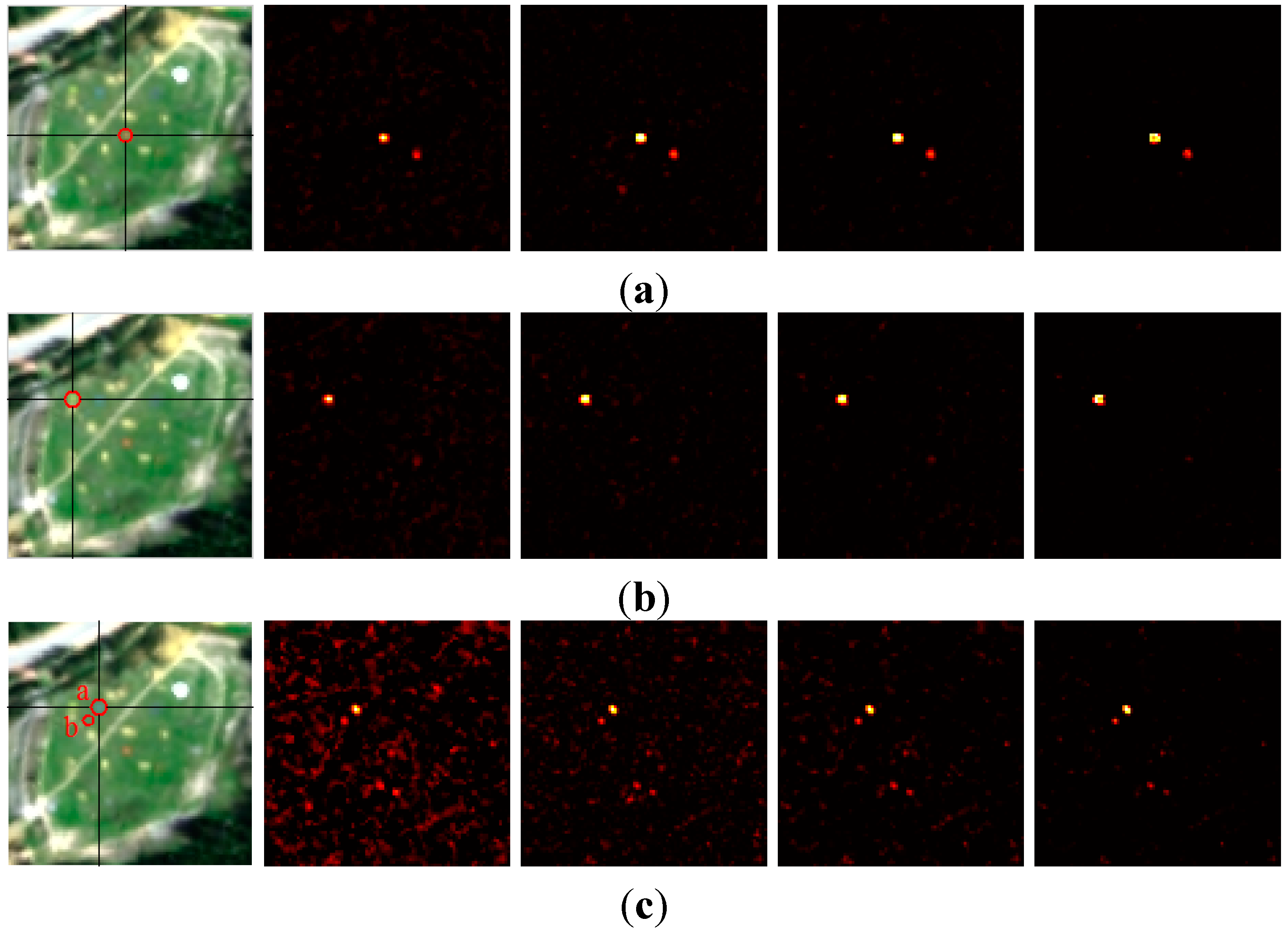 Remotesensing 07 06611 g015a