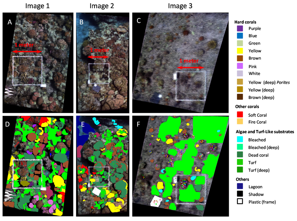 Remotesensing 07 07521 g002 1024