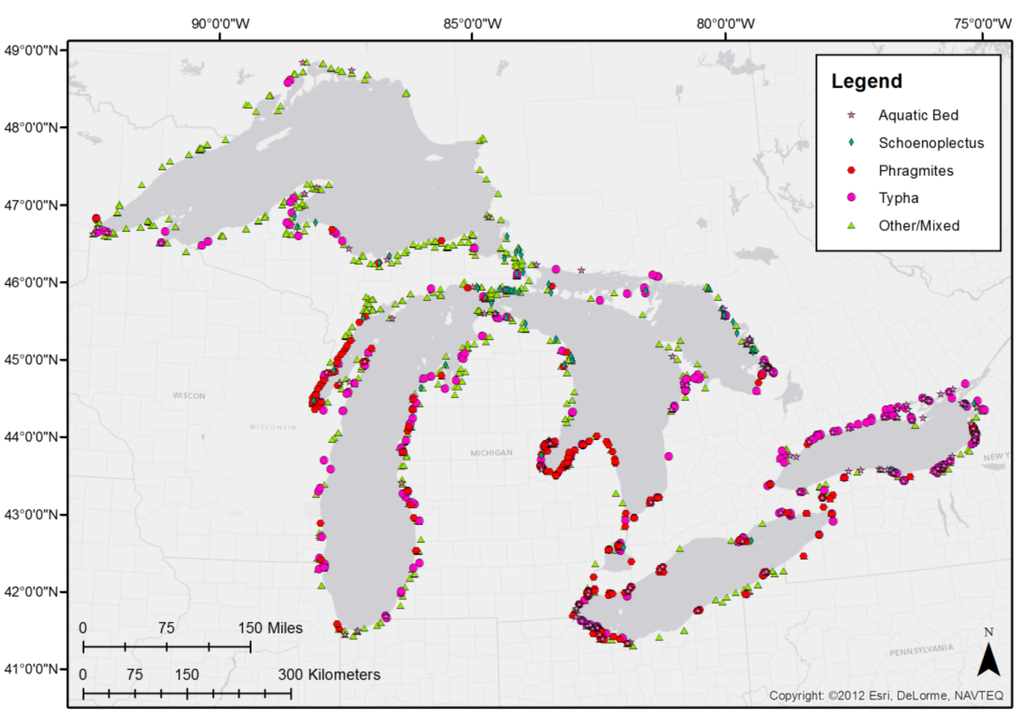 Remotesensing 07 08655 g003 1024