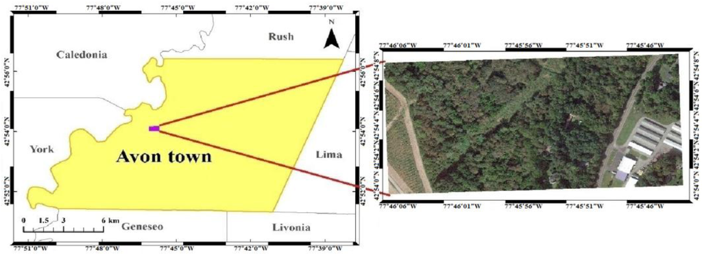 Remotesensing 07 10815 g001 1024