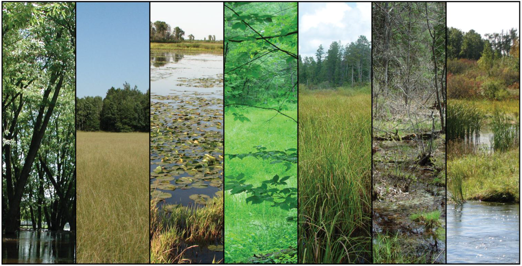 Remotesensing 07 10938 g001 1024