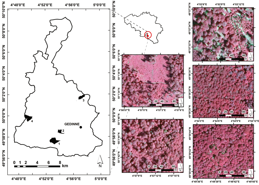 Remotesensing 07 11267 g001 1024