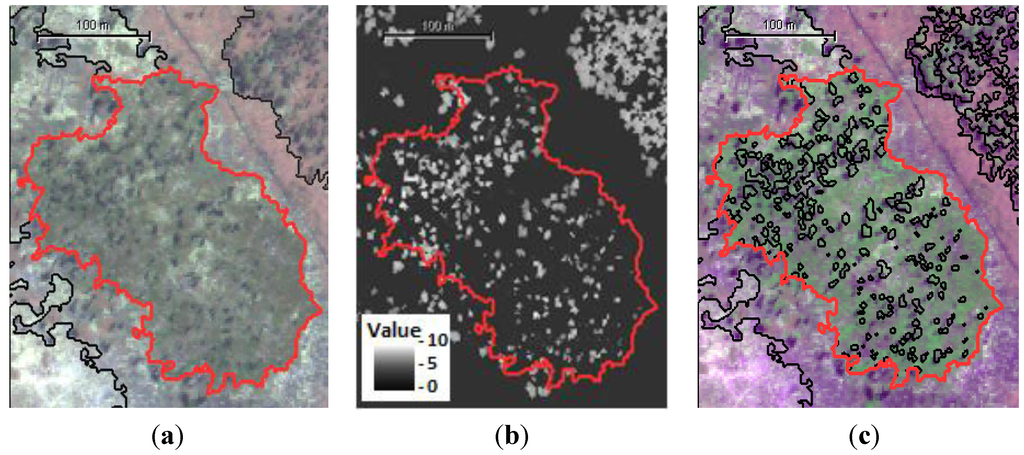 Remotesensing 07 11664 g005 1024