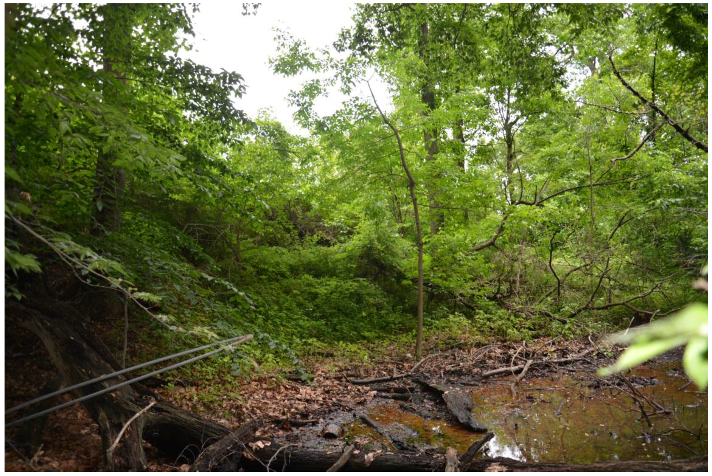 Remotesensing 07 11695 g009