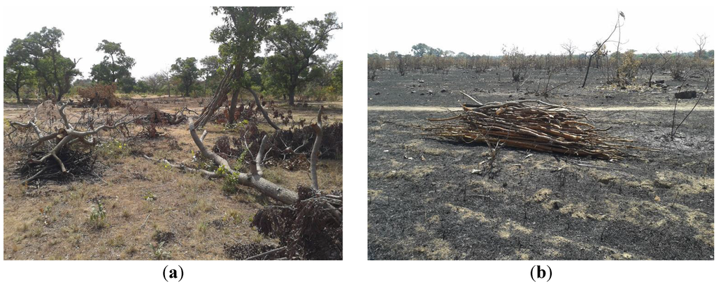 Remotesensing 07 12076 g007 1024