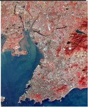 Remotesensing 07 12336 i001