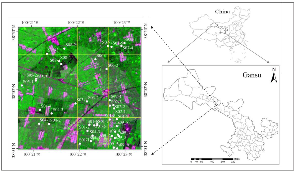 Remotesensing 07 12887 g001 1024