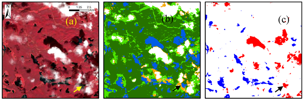 Remotesensing 07 13507 g006a 1024