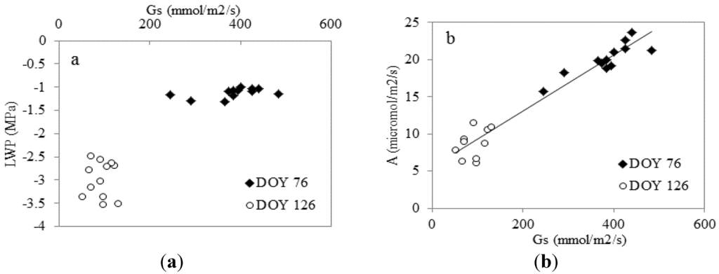 Remotesensing 07 13586 g005 1024