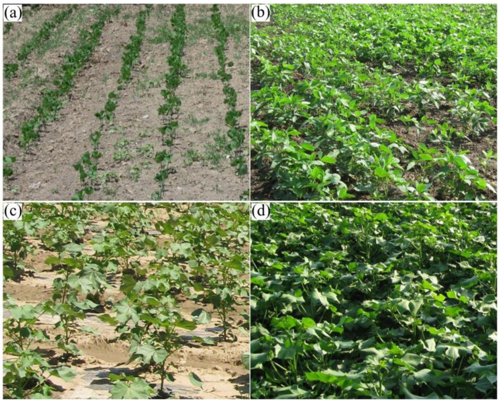 Remotesensing 07 14099 g003 1024