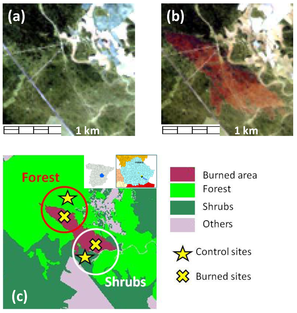 Remotesensing 07 14899 g002 1024