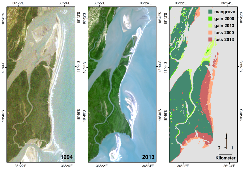 Remotesensing 07 15838 g004 1024