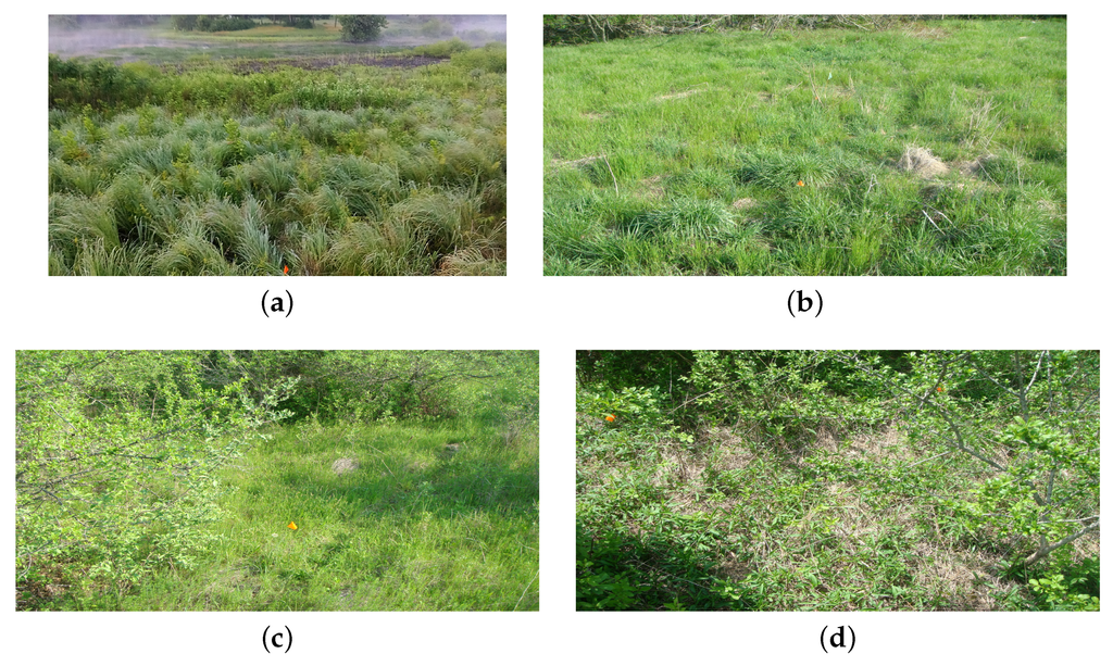 Remotesensing 07 15850 g002 1024