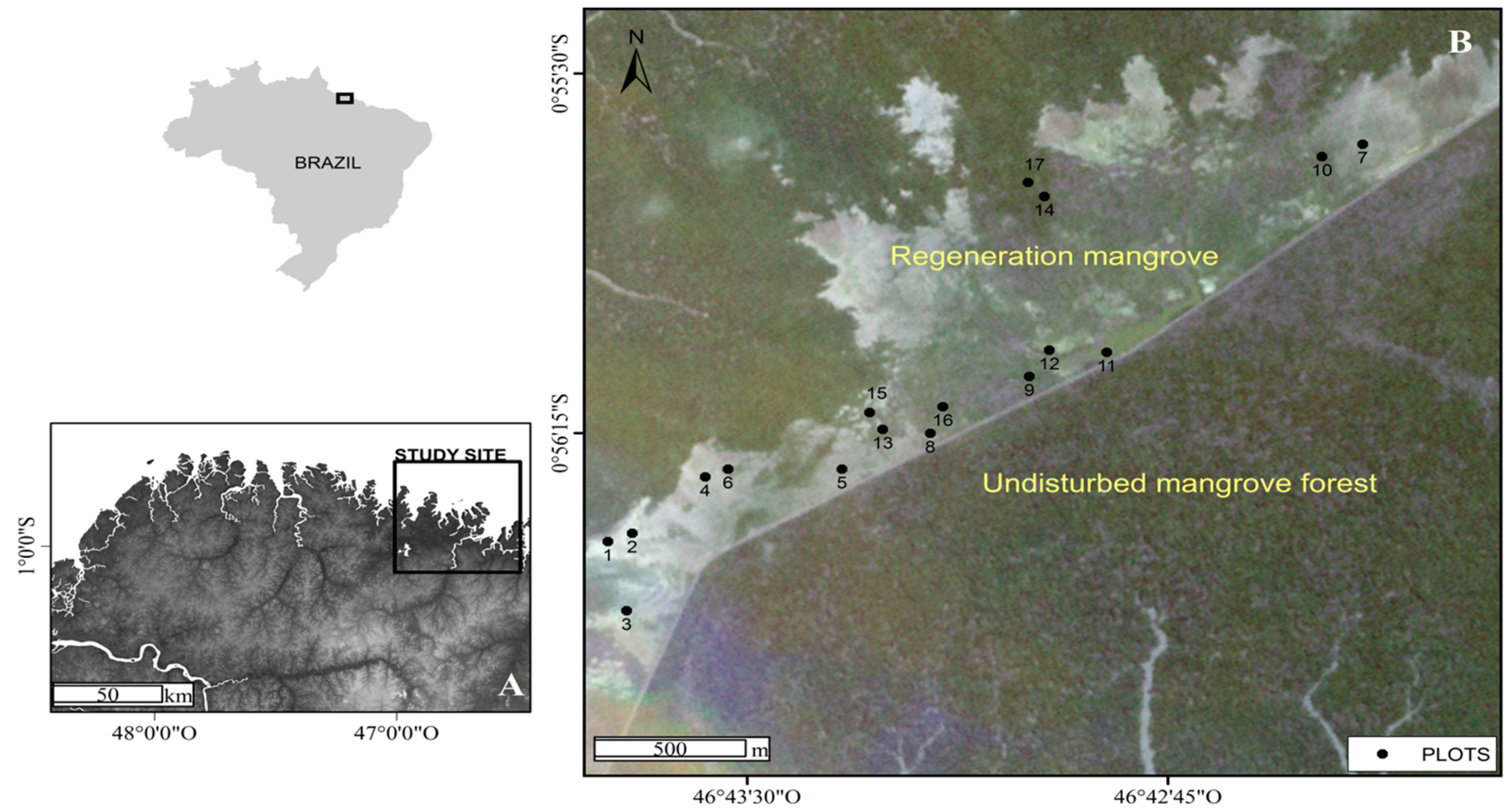 Remotesensing 07 15873 g001