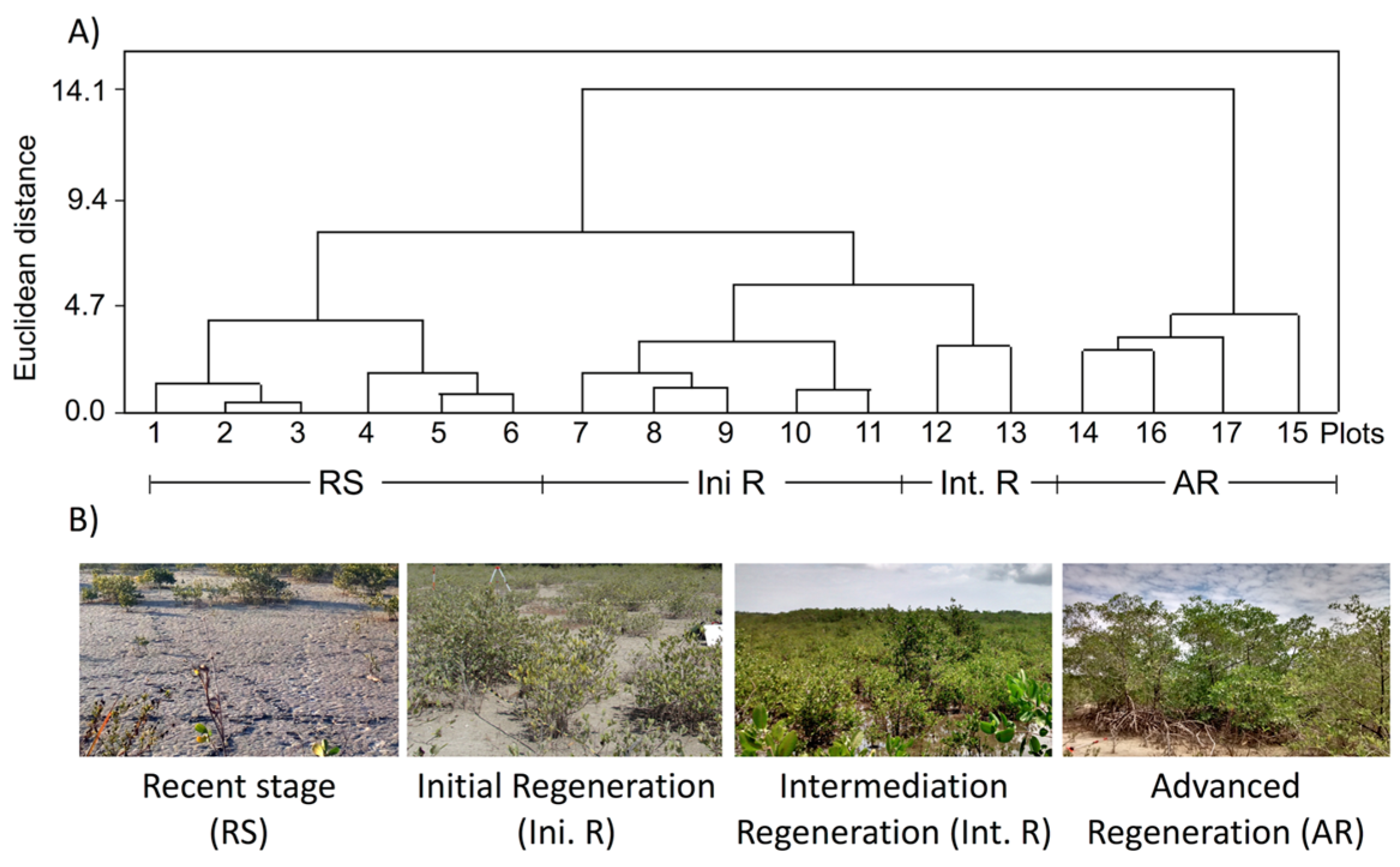 Remotesensing 07 15873 g002