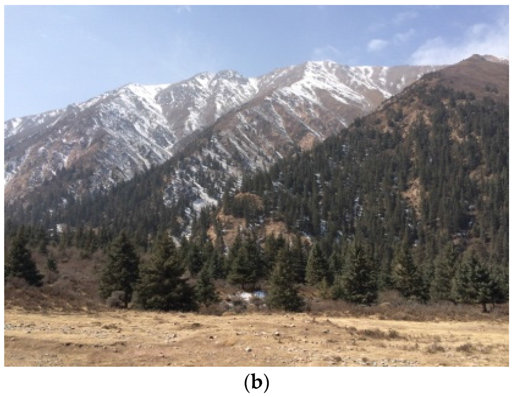 Remotesensing 07 15882 g001b 1024